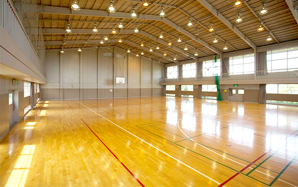 Sân cầu lông tổng quan
